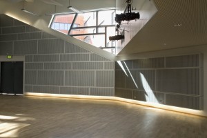 Ano-Sil Anodised Finished Panels